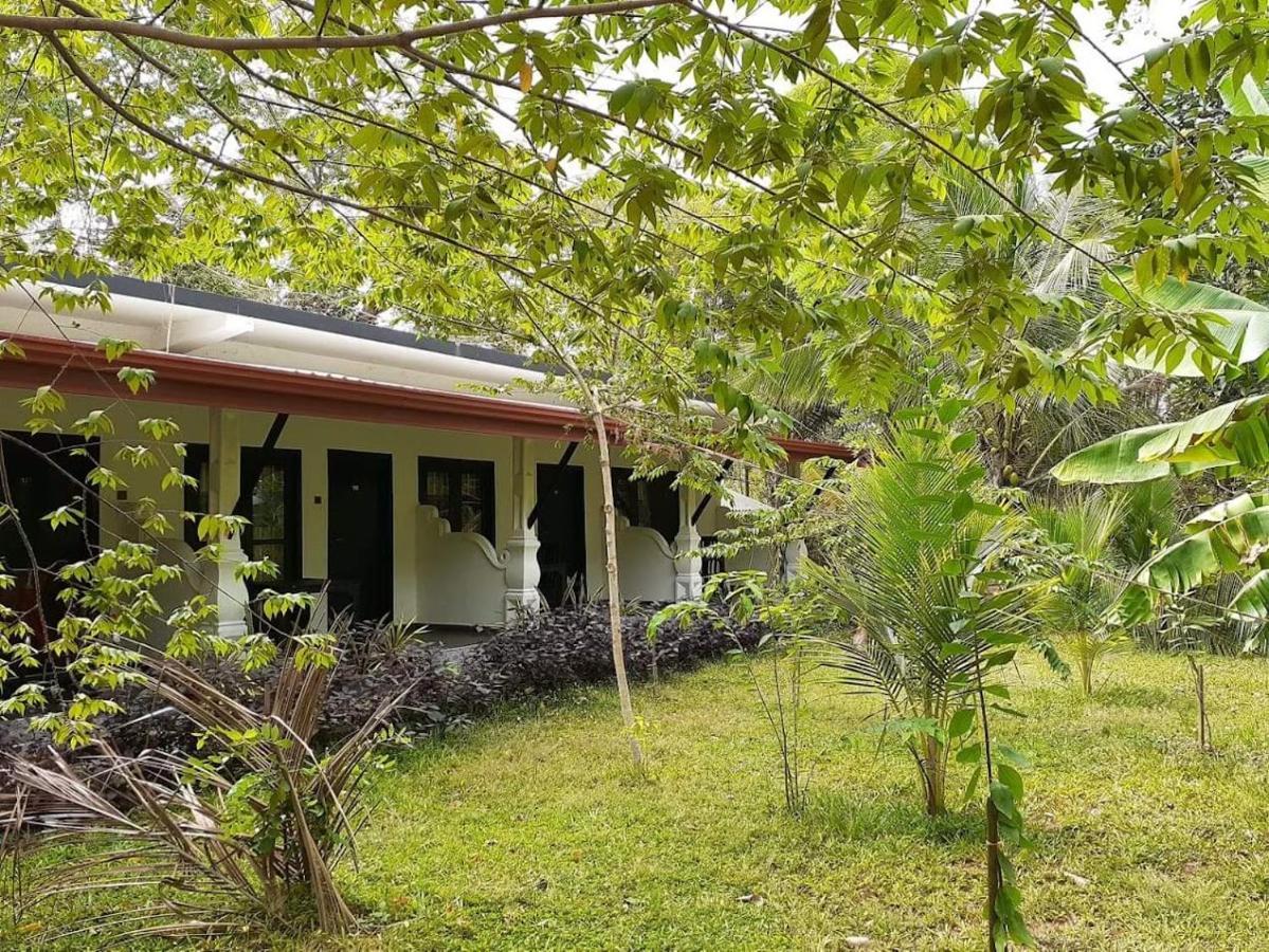 Amron Resort Sigiriya Bagian luar foto