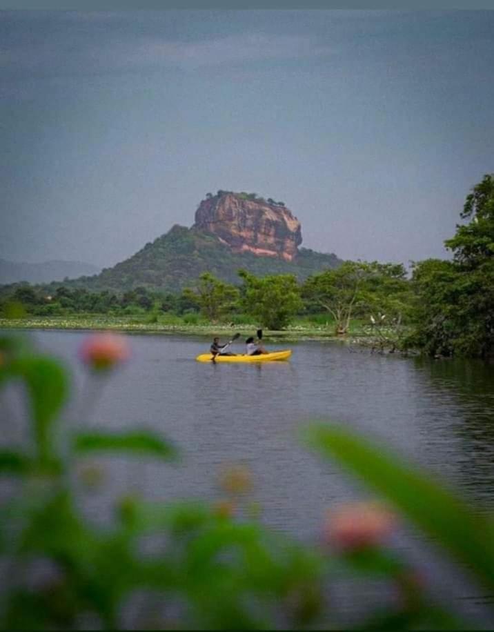 Amron Resort Sigiriya Ruang foto
